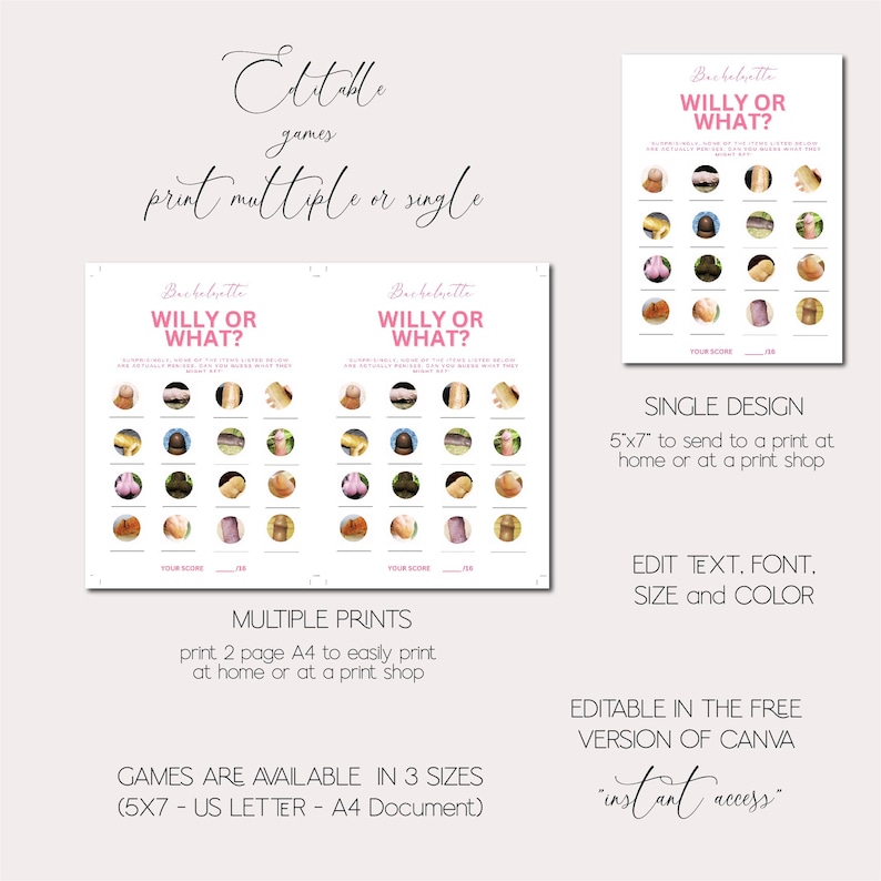 Op de afbeelding: Een afdrukbaar vrijgezellenfeestspel met de titel "Willy or What?" met een roze en wit ontwerp. Het spel bevat illustraties van verschillende objecten. De tekst "Bewerkbare spellen" en "meerdere of enkele afdrukken" zijn ook opgenomen.