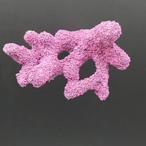 Könnte beinhalten: Eine leuchtend pinke, texturierte korallenartige Struktur mit mehreren verzweigten Armen und zwei deutlichen offenen kreisförmigen Hohlräumen in der Mitte. Die Oberfläche ist mit einer dichten, körnigen und porösen Schicht bedeckt.