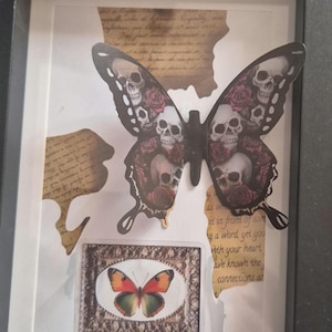 Image - Butterfly