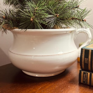 May include: A white ceramic planter with a handle, featuring a gold accent band. The planter holds a green pine branch arrangement. The planter sits on a wooden surface, with two books visible in the background.