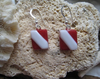 Fused Glass DIVE FLAG earrings ... Make a Statement
