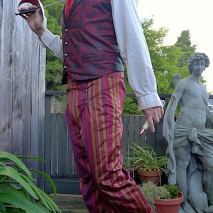 Purple and Maroon Stripe 6 Button Flap Front Steampunk Tapestry Pants