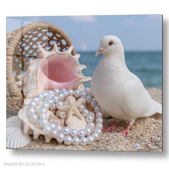 Wall Art Print – White Dove - Beach Still life - Coastal Photography - acryl, metal, canvas – DS0810J