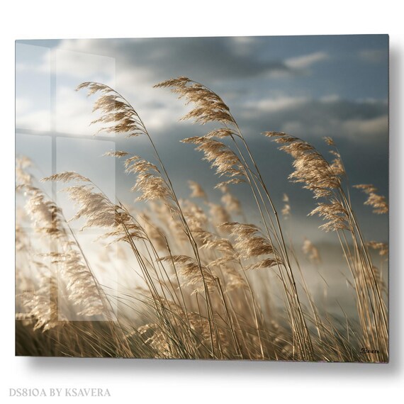 Wall Art Print – Tall Grass - Reed Field – Nature Wind Photography - acrylic, metal, canvas – DS0810A