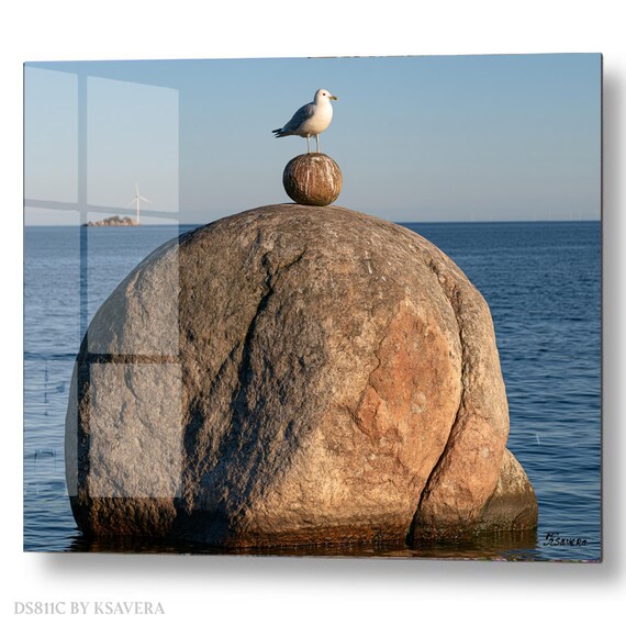 Wall Art Print – Seagull on Balancing Rock - Coastal Zen Photography - acryl, metal, canvas – DS0811C