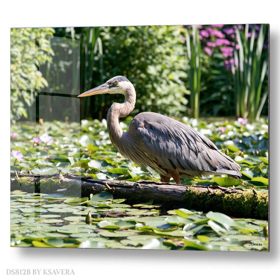 Wall Art Print – Great Blue Heron - Water Lilies - Wildlife Photography – acrylic, metal, canvas – DS0812B