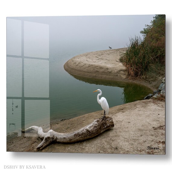 Wall Art Print – White Egret - Driftwood - Lake - Zen Wildlife Photography – acrylic, metal, canvas – DS0811V