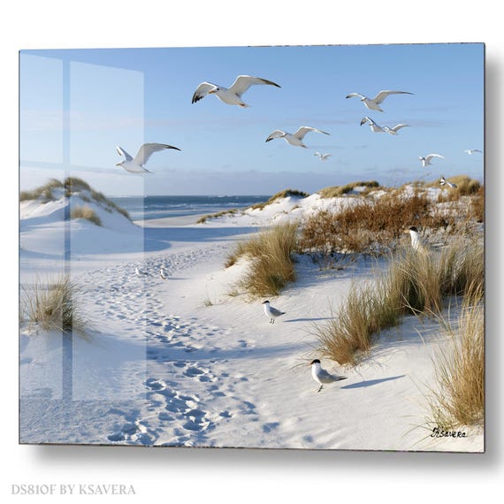 Wall Art Print – Seagulls Flying - Snowy Dunes Beach - Coastal Photography - acryl, metal, canvas – DS0810F