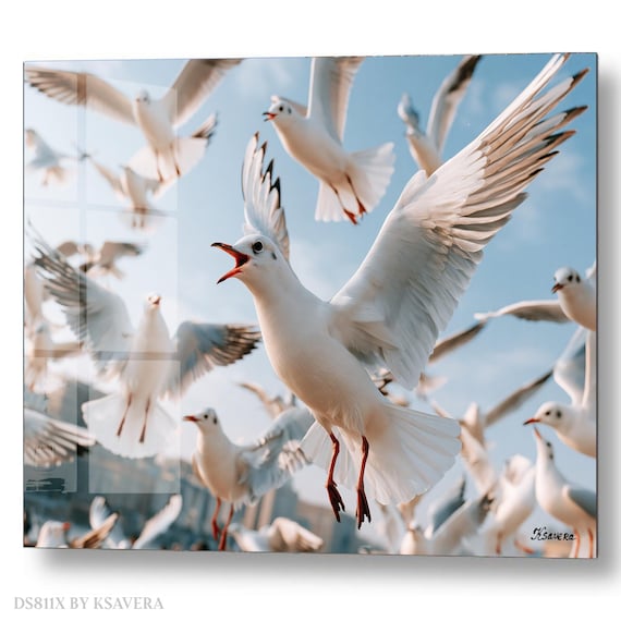 Wall Art Print – Seagulls Flying In Blue Sky - Coastal Photography - acryl, metal, canvas – DS0811X