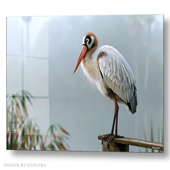 Wall Art Print – Stork On Log - foggy swamp - Wildlife Photography – acrylic, metal, canvas – DS0810K