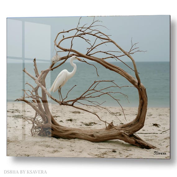Wall Art Print – Great Egret - Coastal Wildlife Photography – Minimalist Nature Decor – Beach Landscape – DS0811A