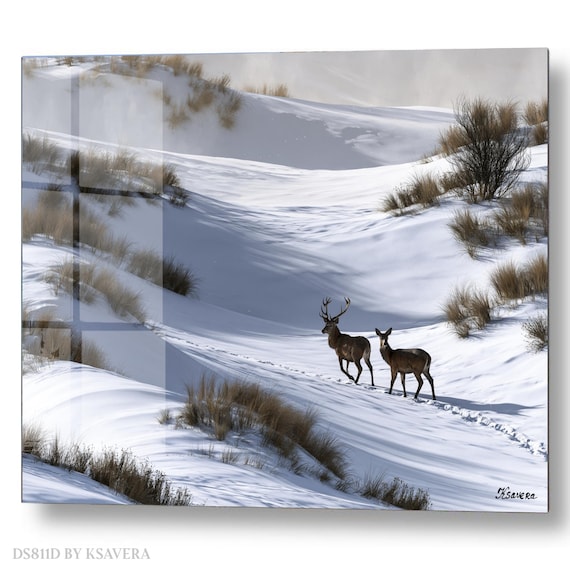 Wall Art Print – Winter Deer in Snow - Wildlife Nature Photography - acryl, metal, canvas – DS0811D