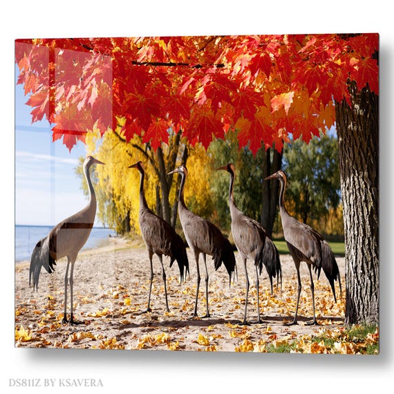 Wall Art Print – Gray cranes - Red Autumn Leaves - Wildlife Photography – acrylic, metal, canvas – DS0811Z