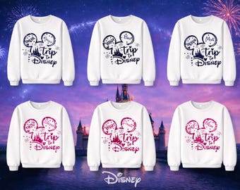 Mickey Trip to Disney Park Family Hoodie 2026, Matching Disney World Disneyland Hoodie, Blue Pink Glitter Disney Park Hoodie, Custom Name