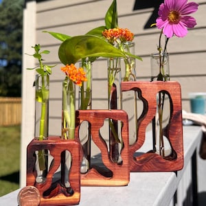 Puede incluir: Cuatro pequeños tubos de ensayo de vidrio con diferentes flores y vegetación se muestran en un juego de cuatro soportes de madera. Los soportes son de madera marrón rojiza y tienen un diseño de corte único. Los soportes están dispuestos en una fila del más grande al más pequeño.