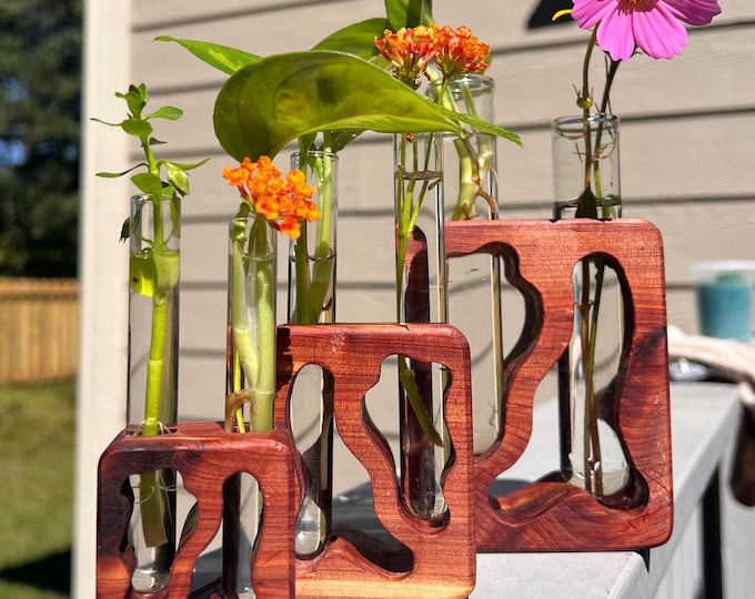 Handmade Cedar Wood Plant Propagation Station with Glass Tubes