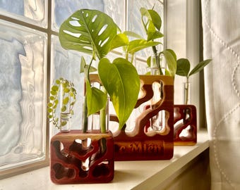 Cedar Wood Plant Propagation Station: Triple Glass Tubes, Home Decor