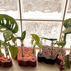 May include: A wooden planter with a wavy design holds nine glass test tubes, each containing a small plant. The planter is a dark brown color and the test tubes are clear. The plants are a variety of greens.