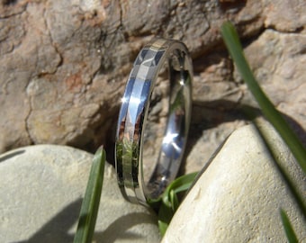 Titanium Silver Stripe Ring, Wedding, Anniversary, Band, Polished