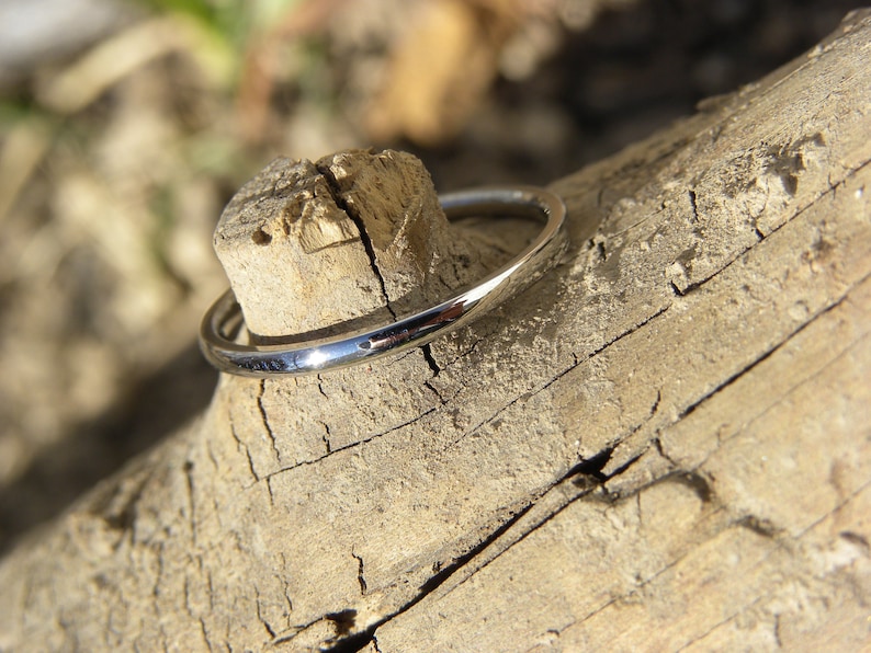 Petite Ring, Everyday Wear Band, 1.5mm Low/Thin Dome Profile Solid Titanium bild 1