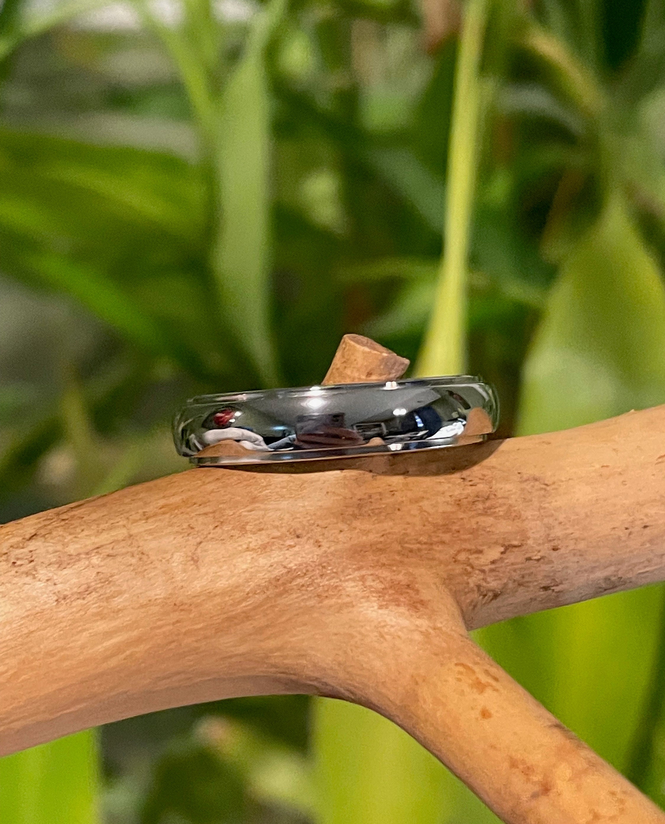 Men's polished hotsell titanium wedding bands