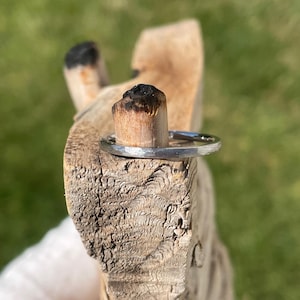 May include: A thin, circular silver-colored metal ring with a smooth, polished finish. The ring is positioned around a small, upright, weathered wooden peg that features a charred, dark brown tip at its top end.