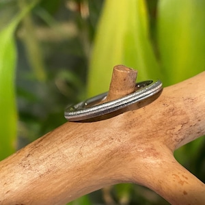 Womens Titanium Silver Jewelry, Beautiful Ring, Wedding Band
