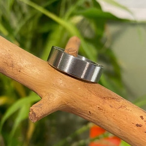 May include: A brushed silver ring with a flat band is displayed on a wooden branch. The ring has a simple, modern design and a matte finish. The background features green foliage, creating a natural setting for the jewelry.