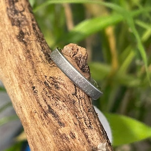 May include: A silver ring with a wood inlay, set against a natural wood branch. The ring has a brushed metal finish and a flat profile. The wood inlay is visible in the center of the ring, adding a natural element to the design.