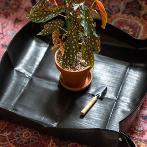 May include: A black waterproof tray with a potted plant and a small gardening tool. The tray is designed to catch excess water from the plant pot.