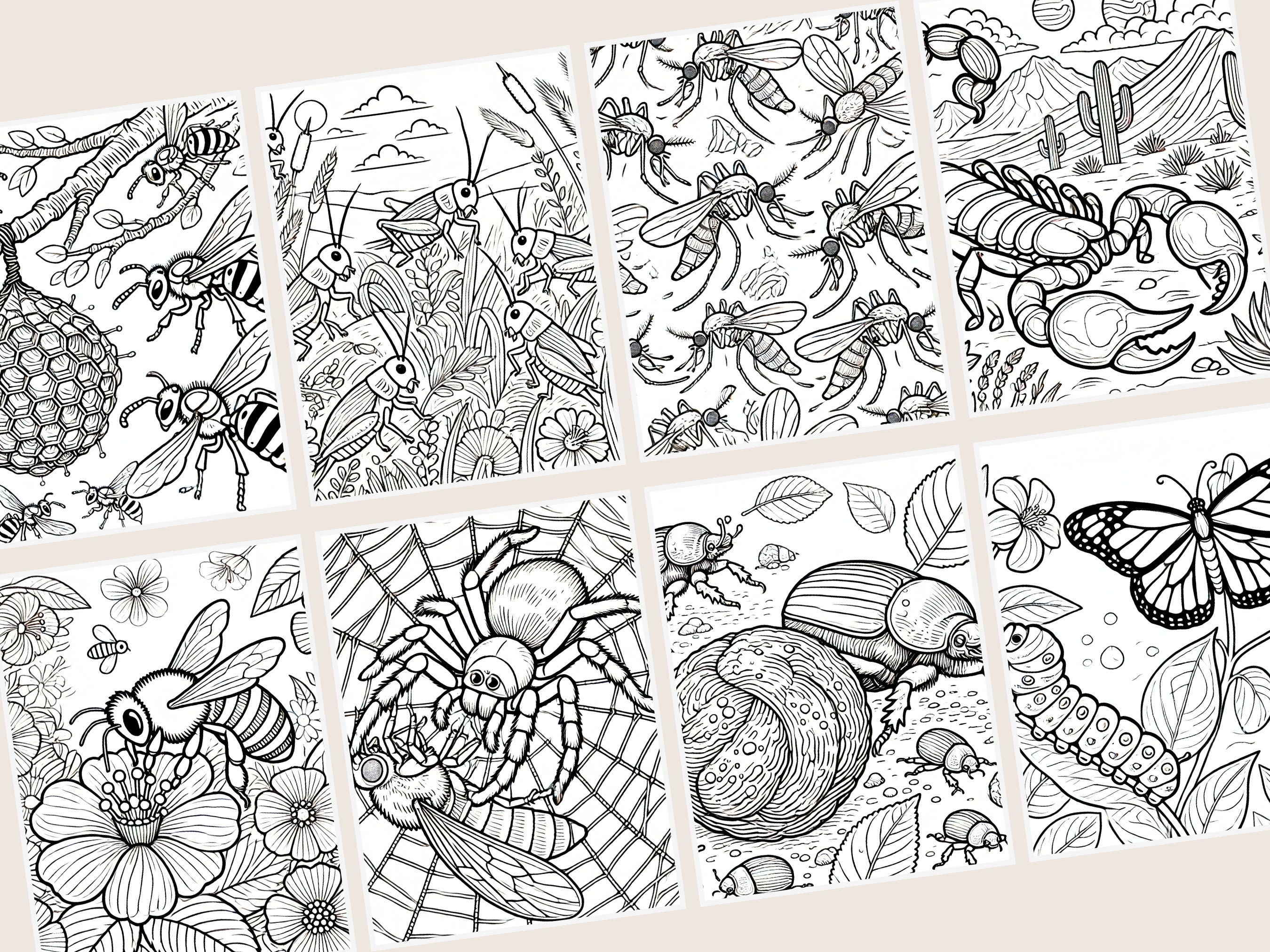 25 Bugs and Spiders Coloring Pages for Kids Educational Activity ...