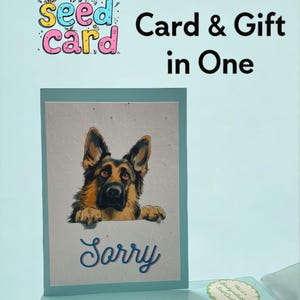 Carte Désolé, Carte de graines à planter, Carte d'excuses personnalisée, Carte Désolé personnalisée, Carte et cadeau en un