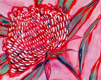 Pink and Red Botanical Study No.1 Archival Wall Art Print Australian Native art prints