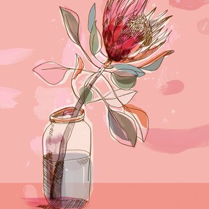 May include: A pink and red protea flower in a clear glass jar with a pink background.