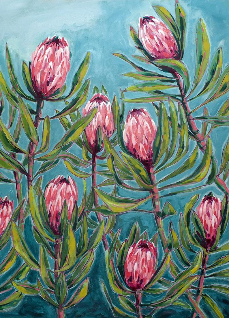 Pink Protea Print, Flower Wall Art, Australian Native, Pink Flower Decor, Botanical Native Print, Pink Protea Painting Archival Print image 2