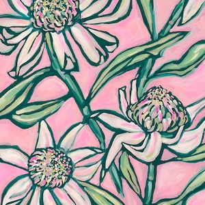 Pink Waratah Painting Archival Wall Art Print botanical illustration Home Decor
