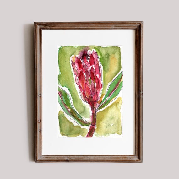 Pink Protea On Green Original watercolour and ink painting on paper  artwork by Paula Mills botanical art decor