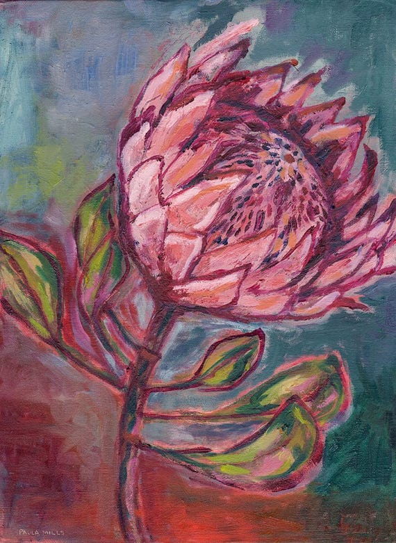 Pink Protea King Archival Wall Art Print,  botanical wall art prints, floral decor