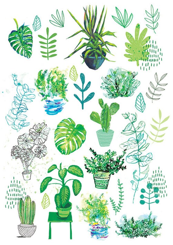 All My Plants - Digital Download Paula Mills Illustration Instant Printable Wall Art  decor