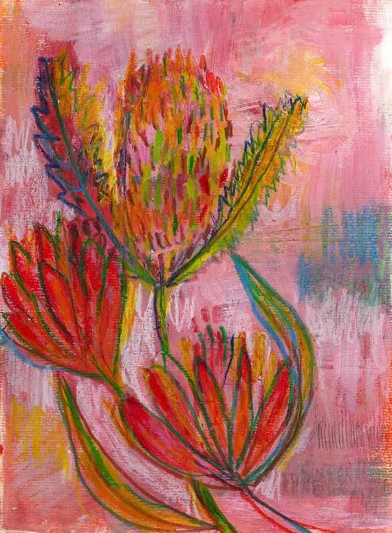 Pink Banksia Original mixed media painting on paper by Paula Mills botanical art decor