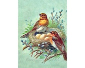 Birds Protect Nest Reproduction Fabric Crazy Quilt Block Free Shipping World Wide (B7