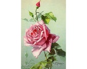 Vintage Klein Pink Rose Reproduction Fabric Crazy Quilt Block Free Shipping World Wide V2