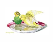 Colorful Parakeet Bathing Belles Reproduction Fabric Crazy Quilt Block Free Shipping World Wide