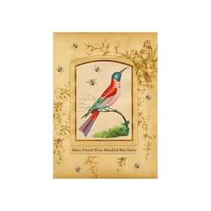 May include: A vintage illustration of a blue-headed bee-eater bird perched on a branch with bees flying around it. The bird is red, pink, and blue with a long tail. The illustration is surrounded by a gold frame and a floral design. The text "Rain Forest Blue Headed Bee Eater" is below the image.