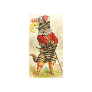 May include: A vintage illustration of a cat dressed as a pirate. The cat is wearing a red and gold costume, a feathered hat with a skull and crossbones, and holding a sword. The cat is standing on a grassy field.