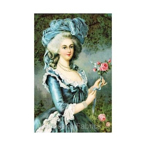 Lovely Marie Antoinette Reproduction Fabric Crazy Quilt Block Free Shipping (M39