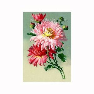 Pink Chrysanthemums Reproduction Fabric Crazy Quilt Block Free Shipping (C3