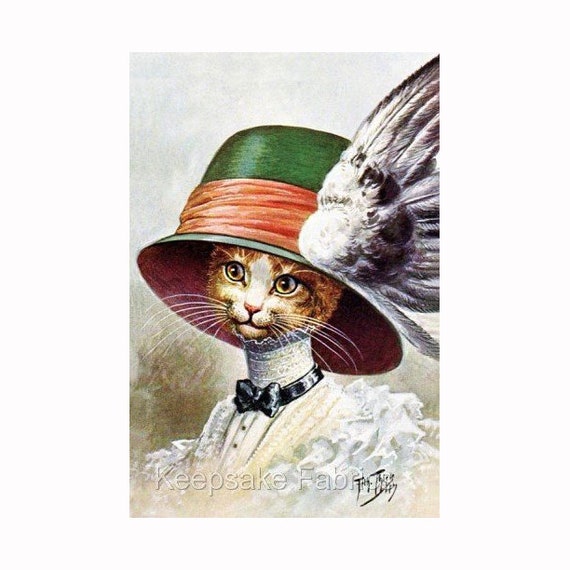 Кошка в перьях