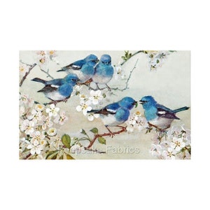 May include: Five blue birds with white markings are perched on a branch of a tree with white blossoms. The birds are facing different directions and some are interacting with each other.