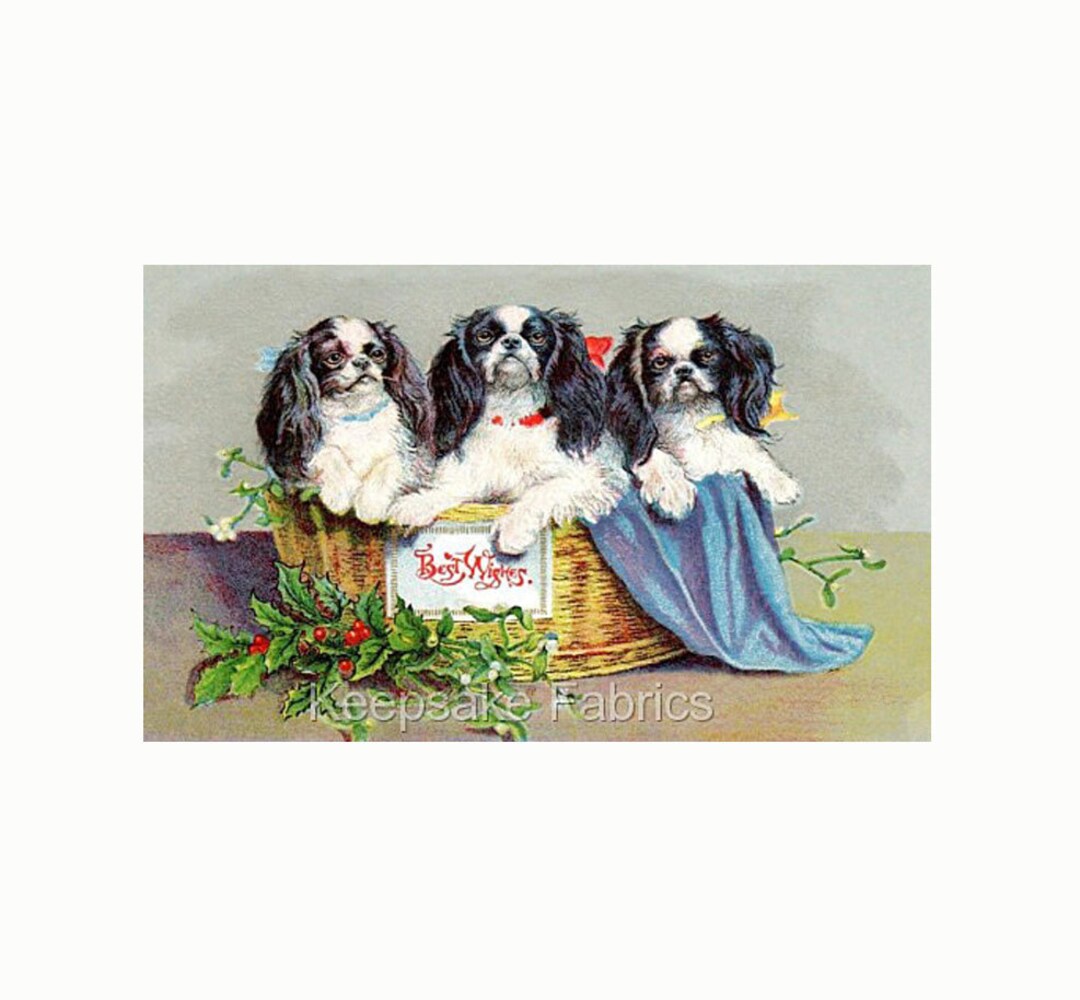 Spaniel Winter Wishes Quilted Blanket NCU0PT1739